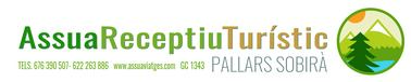 Assua Viatges Logo